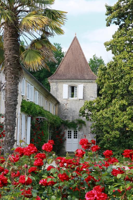 Chateau De Puyrigaud Bed & Breakfast Leoville Ngoại thất bức ảnh